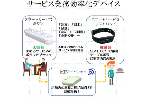 IoTシステム<br>Qser